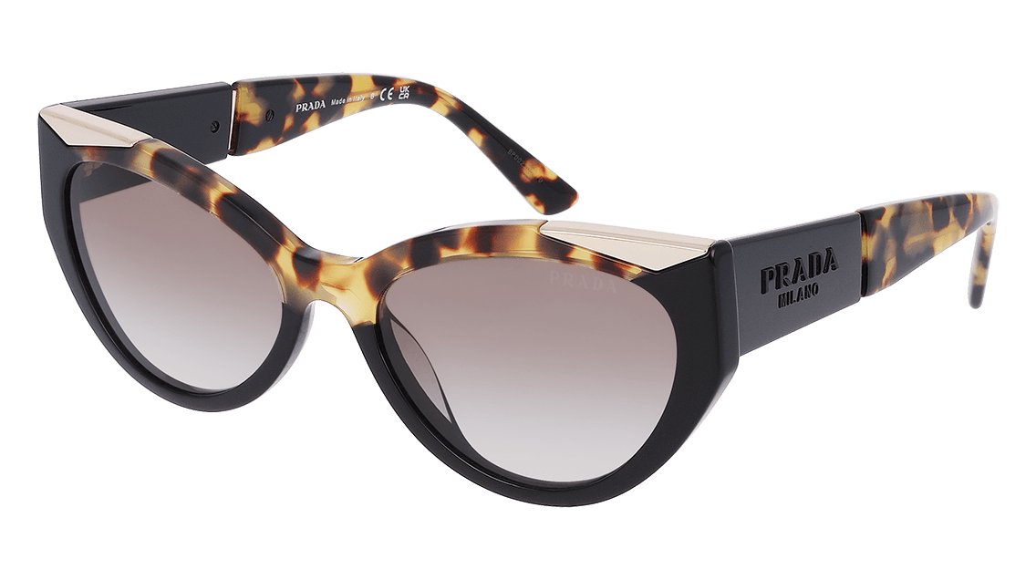 prada pr510s polarized